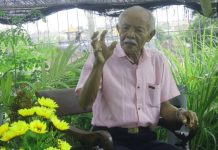 Asal Mula Menjadi Orang Organik