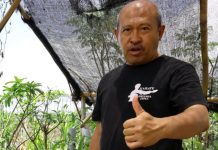 Mottainai: Hindari Mubazir, Hidup Harus Efektif dan Bermanfaat