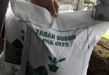 Tanah Subur Pak Oles Tingkatkan Kesehatan Tanah