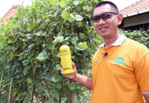 EM4 Pertanian Tingkatkan Kesehatan-Kesuburan Tanah