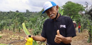 Menekan Hama Tanpa Kimia Sintetik