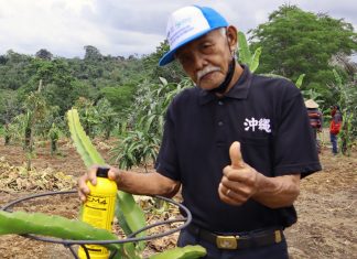 Menekan Hama Tanpa Kimia Sintetik