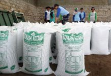 Pupuk Bokashi Kotaku Untuk Pertumbuhan Tanaman Yang Ramah Lingkungan