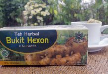 Teh Bukit Hexon Temulawak Perbaiki Sistem Pencernaan