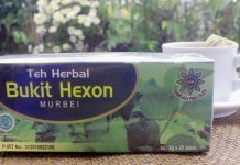 Teh Herbal Daun Murbei Atasi Jantung Lemah