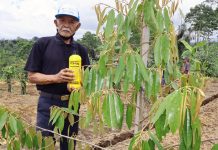 Staf Ahli: Keunggulan Pertanian Organik Tidak Disangsikan