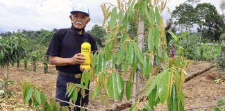 Perbandingan Teknologi Organik Dan Kimia Dalam Pertanian Modern