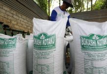 Bokashi Kotaku Tingkatkan Kesuburan-Produktivitas Tanaman