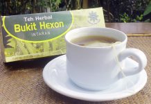 Daun Intaran Miliki Banyak Khasiat Untuk Kesehatan