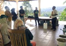 IPSA Bali Latih Ribuan Petani-Cinta Pertanian Organik