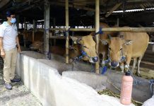 EM4 Efektif Melawan Virus