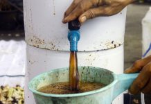 Bokashi Cair Pupuk Organik Difermentasi EM