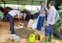 PT. SLP Sosialisasi Pelatihan Buat Bokashi Padat dan Cair