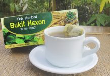 Teh Sirih Kunci Kurangi Kolesterol Dalam Darah