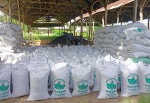 Fina Agro Kusuma Tingkatkan Kapasitas Pupuk Organik