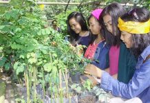 Bokashi Farm Dapat Perhatian Masyarakat Luas