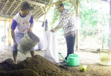Pemanfaatan Pupuk Organik Bokashi Sentuhan EM4 Meluas
