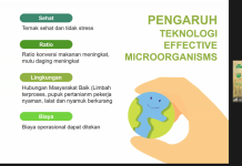 Agus Urson: EM4 Atasi Limbah Sumber Konflik Pemukiman