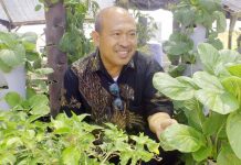 Pertanian Perkotaan Penuhi Kebutuhan Dapur dan Nyaman