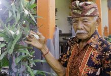 Makanan Tidak Mengenal Habis