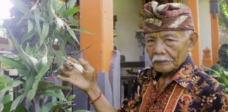 Gusti Riksa Tekuni Aktivitas Pertanian Perkotaan