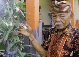 Prana, Energi Kehidupan Yang Diakui Sejak Ribuan Tahun