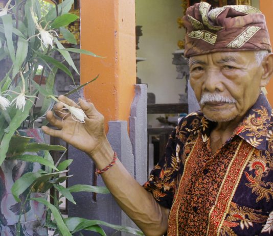 Prana, Energi Kehidupan Yang Diakui Sejak Ribuan Tahun