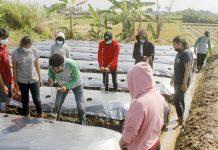 Sarjana Pertanian Miliki Banyak Peluang Bekerja Mandiri