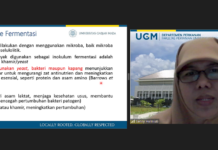 Dr. Senny: Bahan Pakan Ikan Miliki Kandungan Nutrisi Esensial