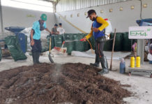 Staf Ahli: Mikroba kumpulan Bakteri Baik Sahabat Manusia