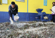 Jerami Hasilkan Pupuk Kandungan Kalium Baik Bagi Tanaman