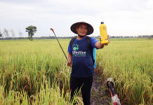 Di Jawa Timur Penyaluran EM4 Pertanian Paling Banyak