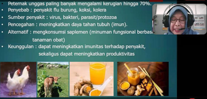 Nia Setiawati