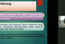 Pakar Setiawati: Obat Herbal Hemat Biaya Sembuhkan Ternak