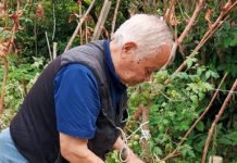 Prof. Higa Puji Kemajuan Teknologi EM Indonesia