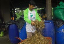 Fermentasi Pakan Kambing Sederhana, Percepat Proses Penggemukan