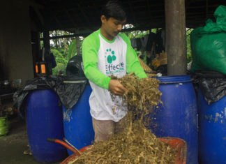 Fermentasi Pakan Kambing Sederhana, Percepat Proses Penggemukan