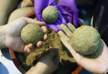 Sungai Jadi Jernih Berkat EM Mud Ball