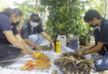 Pertanian Organik Berbasis EM Kian Diminati Masyarakat Luas