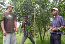 Tanaman Jeruk Sentuhan Pupuk Bokashi- EM4 Beri Harapan Baru