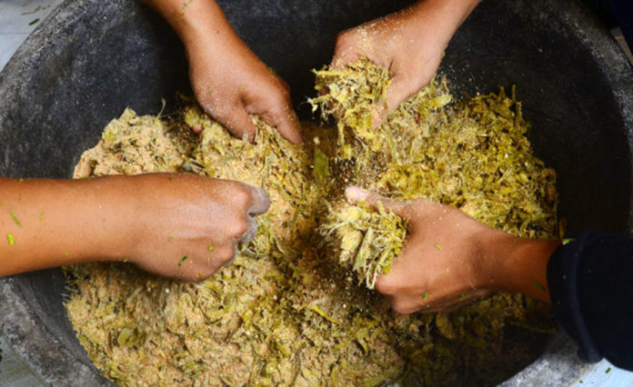 Pemanfaatan-Enceng-Gondok-Sebagai-Pakan-Fermentasi-300820-yn-4
