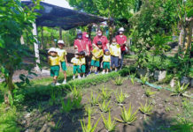 Murid TK Genius Day Care Mengenal Tanaman Obat di Pak Oles
