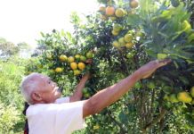 Konsumsi Pangan Lokal Pernah Digalakkan Ibu Negara Michele Obama