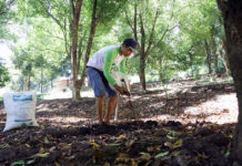 Tanah Sehat Berikan Kehidupan Terhadap Manusia