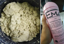 Ampas Tahu, Pakan Alternatif Lele Murah dan Bergizi Yang Bantu Tingkatkan Pertumbuhan Ikan