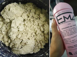 Ampas Tahu, Pakan Alternatif Lele Murah dan Bergizi Yang Bantu Tingkatkan Pertumbuhan Ikan