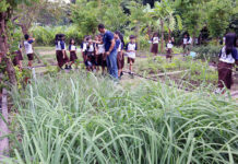 Murid SD Santo Yoseph Mengenal Tanaman Obat di Pak Oles