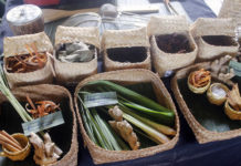 Kulit Pohon Lontar Miliki Khasiat Atasi Gelisah