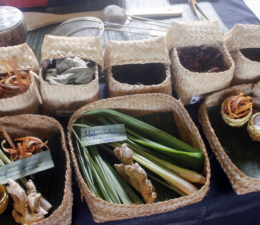 Obat Herbal dan Obat Modern, Mana yang Lebih Tepat untuk Kesehatan?