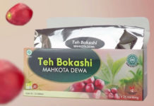 Teh Herbal Mahkota Dewa Tingkatkan Kesehatan, Ringankan Asam Urat